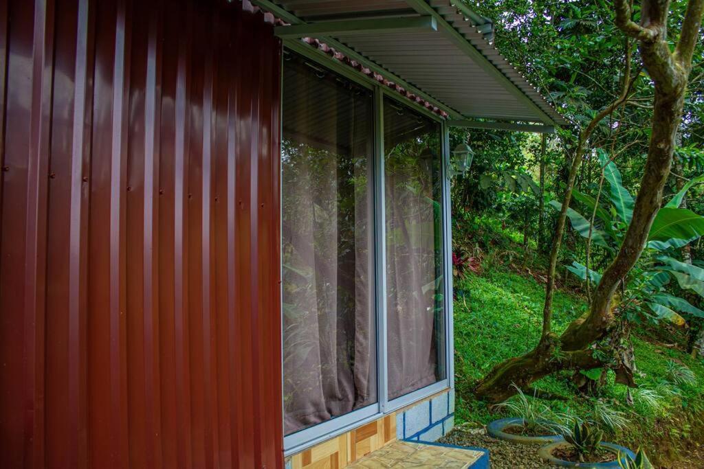 Cabana En La Montana Venecia Exterior foto
